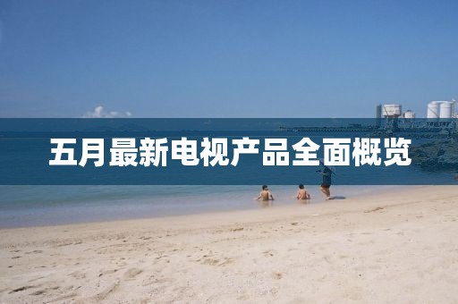 五月最新电视产品全面概览