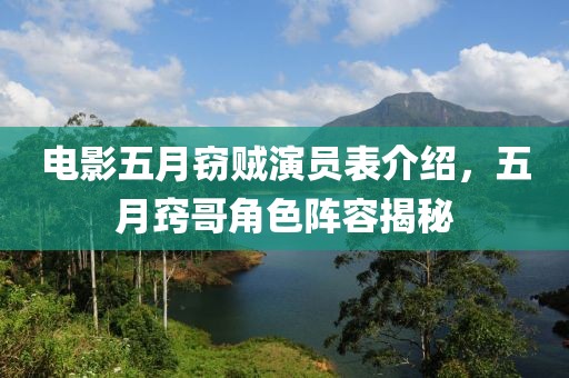 电影五月窃贼演员表介绍，五月窍哥角色阵容揭秘