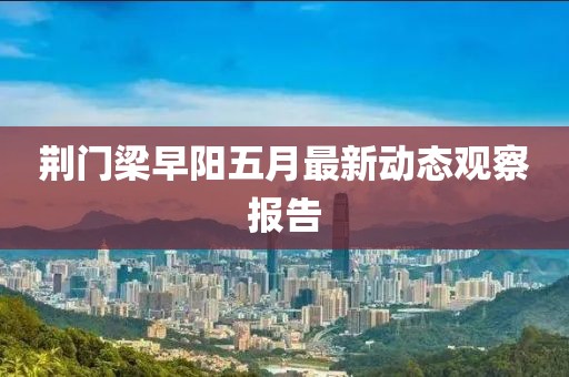 荆门梁早阳五月最新动态观察报告