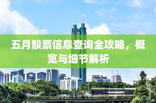 五月股票信息查询全攻略，概览与细节解析