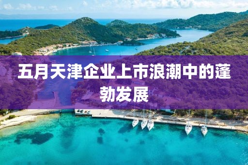五月天津企业上市浪潮中的蓬勃发展