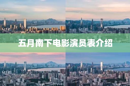 五月南下电影演员表介绍