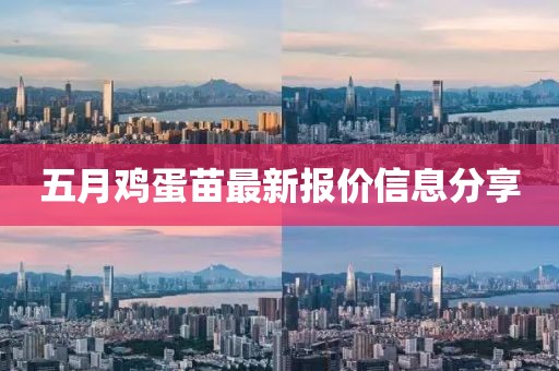 五月鸡蛋苗最新报价信息分享