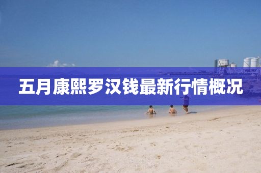 五月康熙罗汉钱最新行情概况