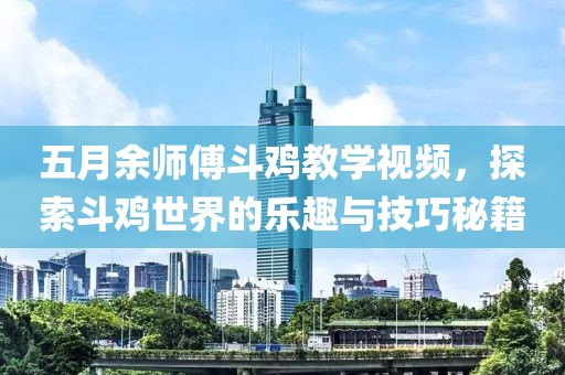 五月余师傅斗鸡教学视频，探索斗鸡世界的乐趣与技巧秘籍