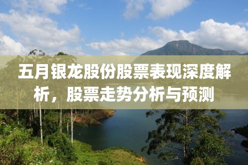 五月银龙股份股票表现深度解析，股票走势分析与预测