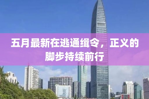五月最新在逃通缉令，正义的脚步持续前行