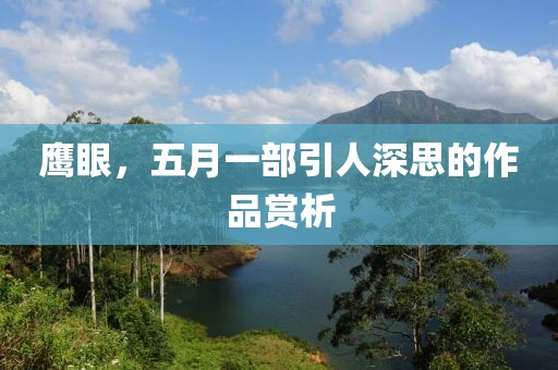 鹰眼，五月一部引人深思的作品赏析