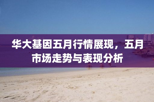 华大基因五月行情展现，五月市场走势与表现分析