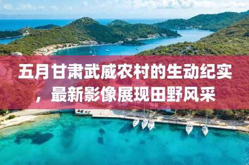 五月甘肃武威农村的生动纪实，最新影像展现田野风采