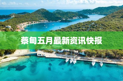 蔡甸五月最新资讯快报