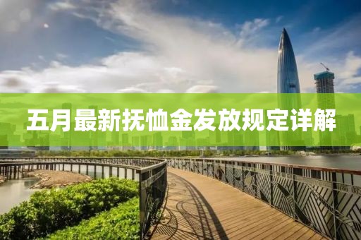 五月最新抚恤金发放规定详解