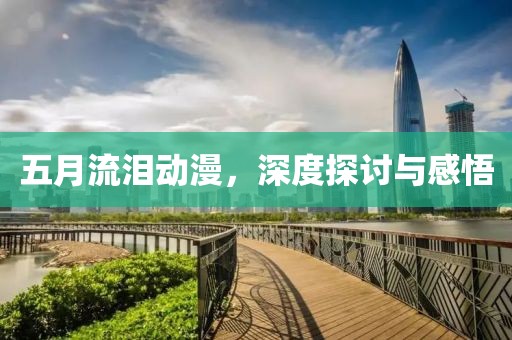 五月流泪动漫，深度探讨与感悟