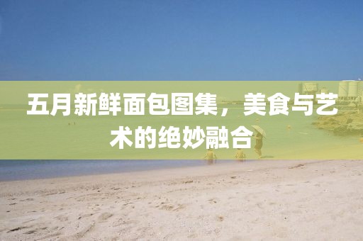 五月新鲜面包图集，美食与艺术的绝妙融合