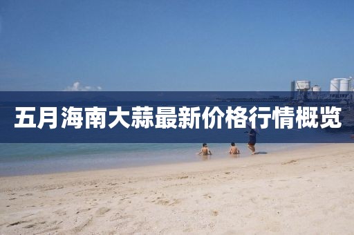 五月海南大蒜最新价格行情概览