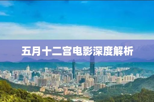 五月十二宫电影深度解析