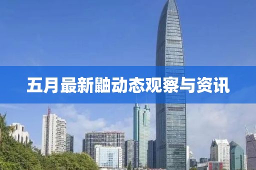 五月最新鼬动态观察与资讯