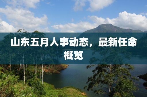 山东五月人事动态，最新任命概览