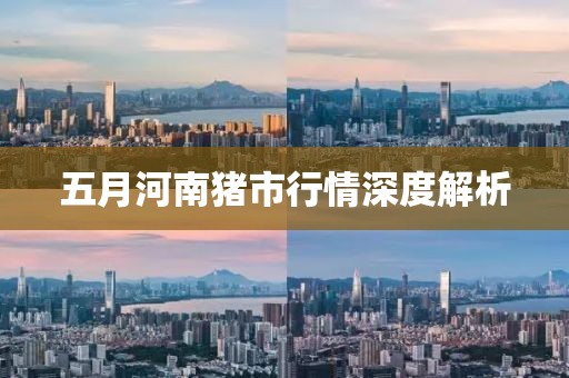 五月河南猪市行情深度解析