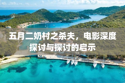五月二奶村之杀夫，电影深度探讨与探讨的启示