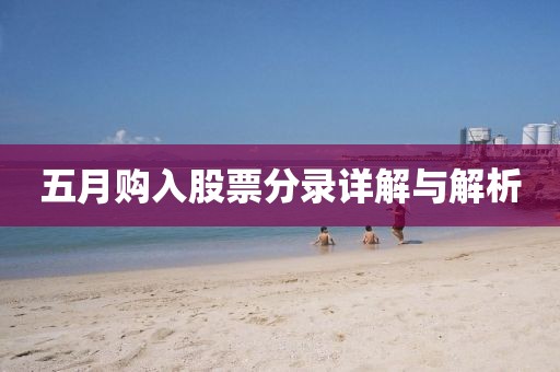 五月购入股票分录详解与解析