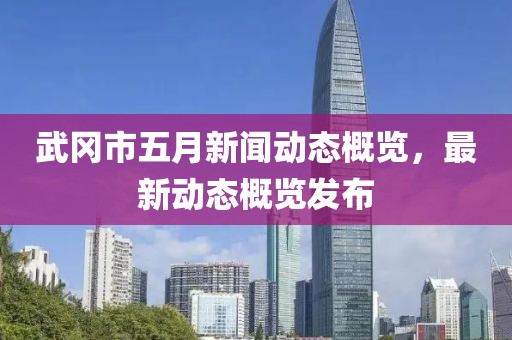 武冈市五月新闻动态概览，最新动态概览发布