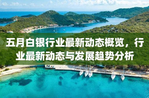 五月白银行业最新动态概览，行业最新动态与发展趋势分析
