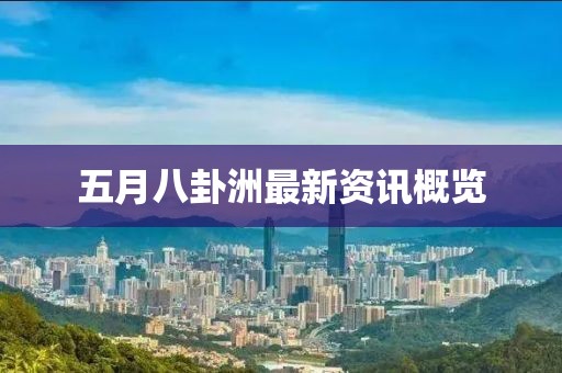 五月八卦洲最新资讯概览