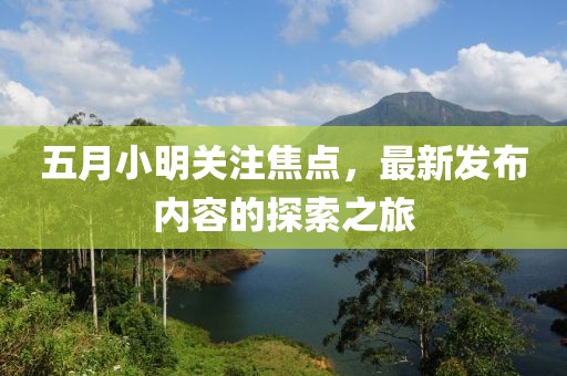 五月小明关注焦点，最新发布内容的探索之旅