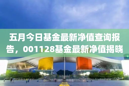 五月今日基金最新净值查询报告，001128基金最新净值揭晓