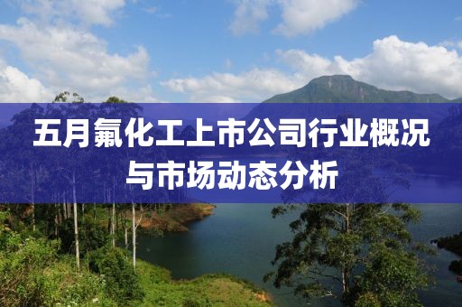 五月氟化工上市公司行业概况与市场动态分析