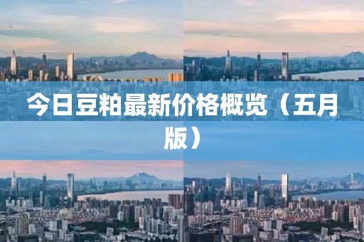 今日豆粕最新价格概览（五月版）