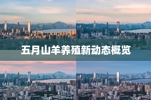 五月山羊养殖新动态概览