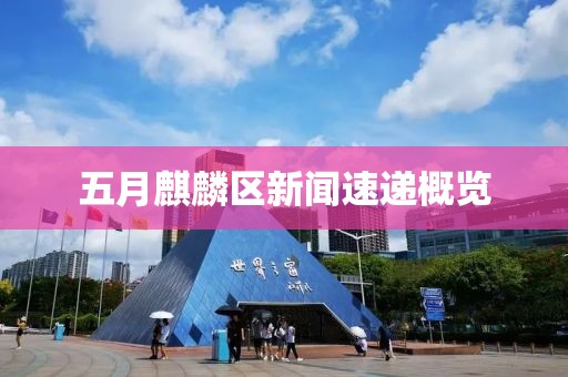 五月麒麟区新闻速递概览