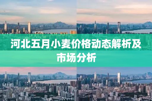 河北五月小麦价格动态解析及市场分析