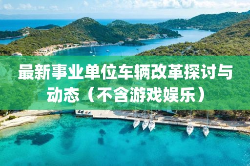 最新事业单位车辆改革探讨与动态（不含游戏娱乐）