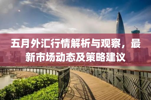 五月外汇行情解析与观察，最新市场动态及策略建议