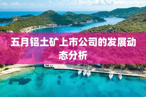 五月铝土矿上市公司的发展动态分析