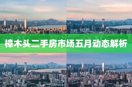 樟木头二手房市场五月动态解析