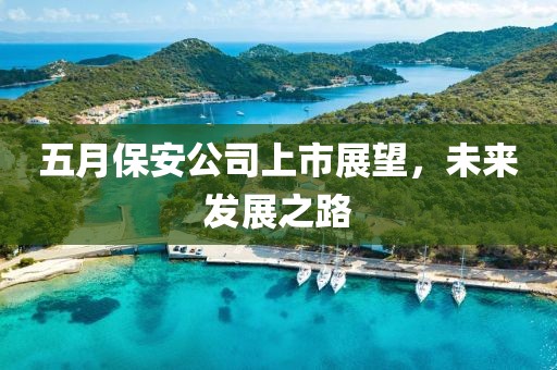 五月保安公司上市展望，未来发展之路