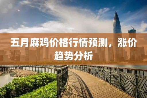 五月麻鸡价格行情预测，涨价趋势分析