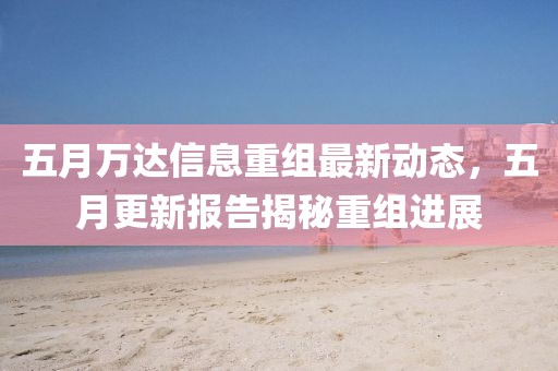 五月万达信息重组最新动态，五月更新报告揭秘重组进展