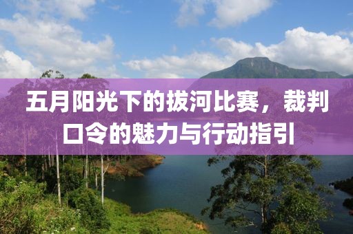 五月阳光下的拔河比赛，裁判口令的魅力与行动指引