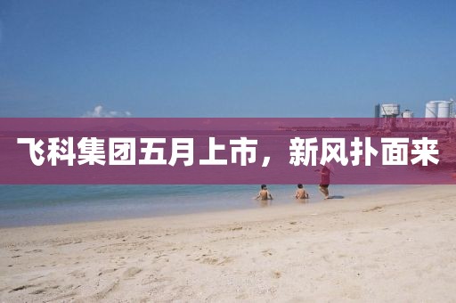 飞科集团五月上市，新风扑面来