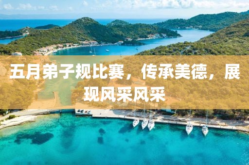 五月弟子规比赛，传承美德，展现风采风采