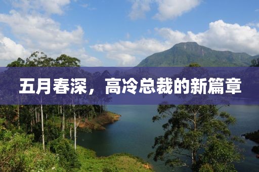 五月春深，高冷总裁的新篇章