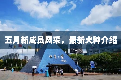 五月新成员风采，最新犬种介绍