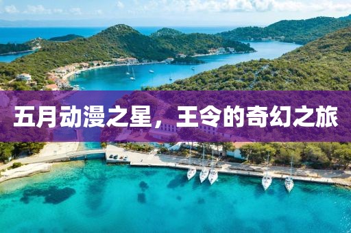 五月动漫之星，王令的奇幻之旅