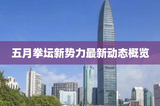 五月拳坛新势力最新动态概览