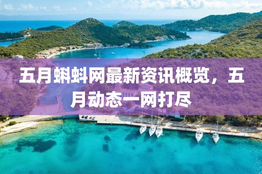 五月蝌蚪网最新资讯概览，五月动态一网打尽